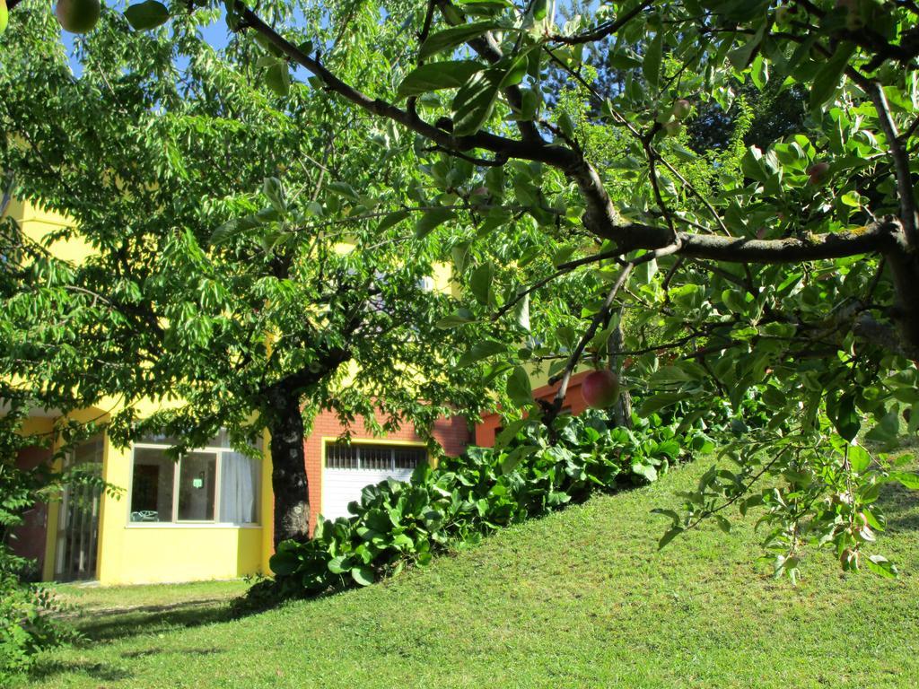 Casa Balducci Bed&Breakfast Mercatello sul Metauro Экстерьер фото