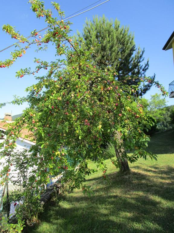 Casa Balducci Bed&Breakfast Mercatello sul Metauro Экстерьер фото
